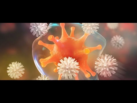 Akyuvarların(lökosit) mikroplarla savaşı