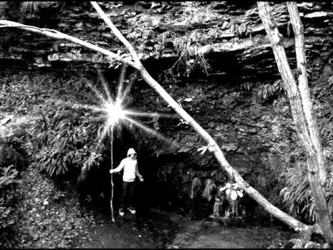 Boogie Mushroom - Wolf [Hardtek/Tribe]