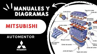 Soporte
