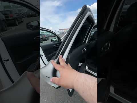 фото kia sportage iv 0