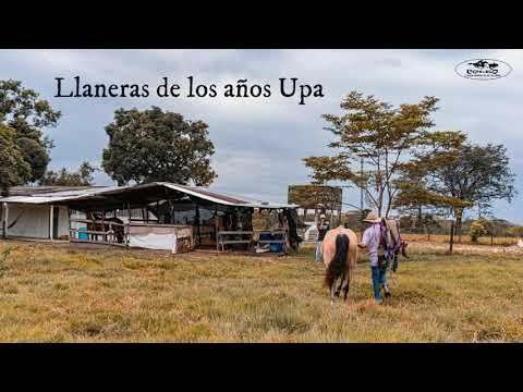 Estoconando las Topias - Alfonso Niño