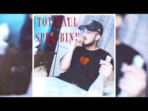MAIDANU - TOT RAUL SPRE BINE FREESTYLE