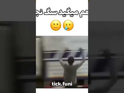 ۳۱ اوت ۲۰۲۳