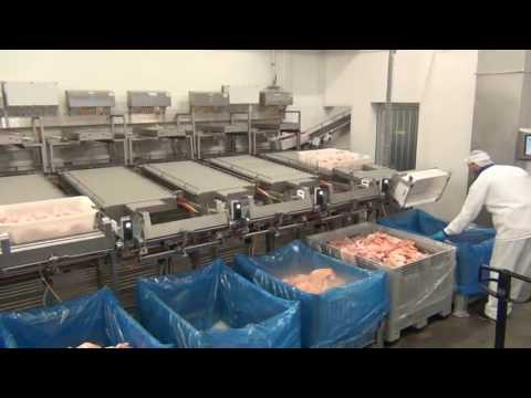 ATTEC Danmark A S   Automatic filling from trays into Dolav