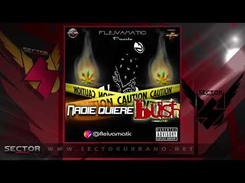 Fleivamatic - Nadie quiere Buch