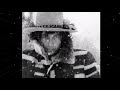 Bob Dylan - Winterlude (vocals only)