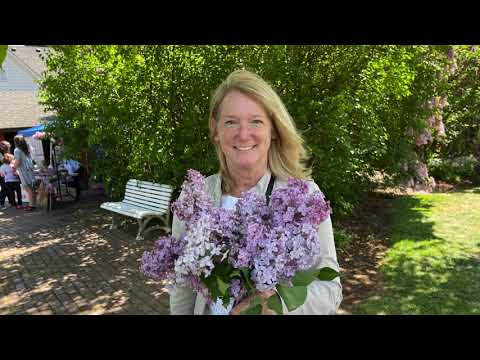 Flew my wife to the Lilac Gardens in SW Washington