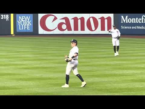 (bleacher creatures) 🏆🏆🏆 (ROLLCALL) #yankees #NYYVIDS #repBX #chasefor28⚾⚾⚾