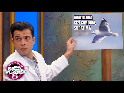 Netterapi (70.Bölüm) - Çok Güzel Hareketler 2