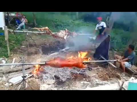 Lechon Baka + Lechon Baboy