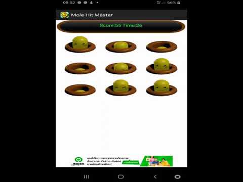 Mole Hit Master Video