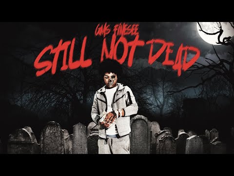 GMS Finesse x ifykyk x ifykyk x ifykyk - FREE ROOGA (Official Audio)