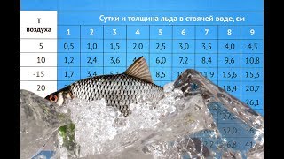 Какая должна быть толщина льда для рыбалки