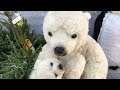 Xmas Scene Outside Garden Centre Polar Bears And Penguins