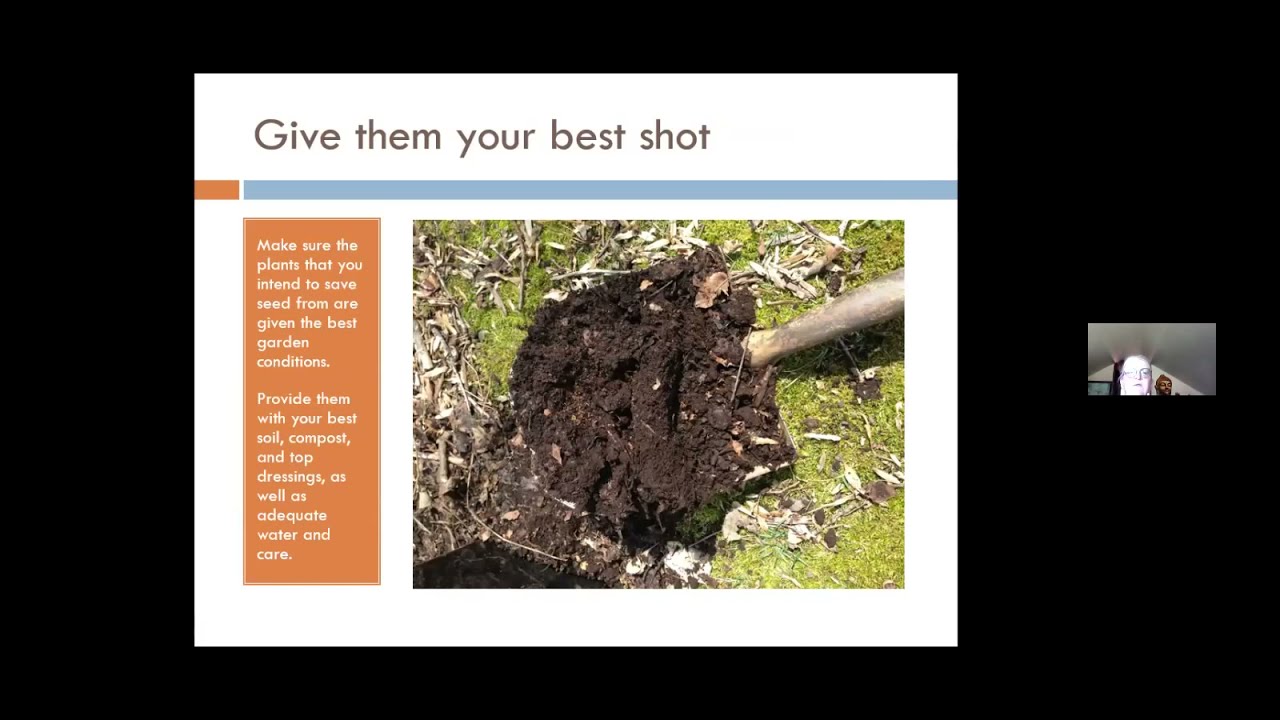 Workshop: Seed Saving