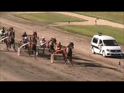 Kvalifikacija za trogodce  na 2150m  KK BAČKA SUBOTICA  15.09.2019.