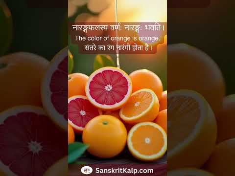 Learn Sanskrit Sentence:   नारङ्गफलस्य वर्णः नारङ्गः भवति। |  The color of orange is orange.