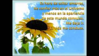 SOLTANDO AMARRAS-elbusc@dor