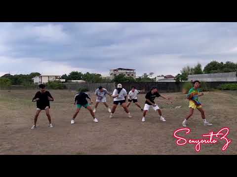 SENYORITOZ/Chris Brown - Early2k (Dance Cover)