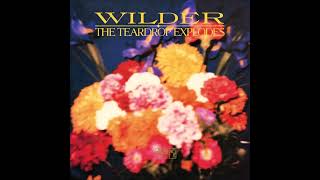 The Teardrop Explodes - Bent Out Of Shape