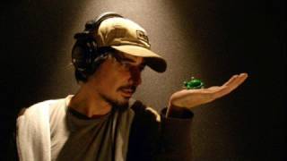 Tom Ze - Amon Tobin Remix  Curiosidade