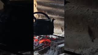 Download lagu kopi singkong rebus mp3 Download lagu kopi singkong rebus mp3