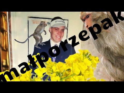 Tede obraża matki sowich słuchaczy 