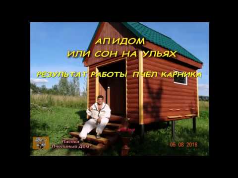 ПОРОДА ПЧЕЛ КАРНИКА В АПИДОМЕ. Часть 1 (Karnika in a Bee hut.)