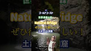 土ボタルを見に行くなら、日本語ガイド付きのツアーがお勧めです👍🏻#ゴールドコースト オーストラリア旅行