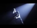 Birds In Row - Last Last Chance 