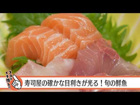 まちクルナビ　荒井寿し