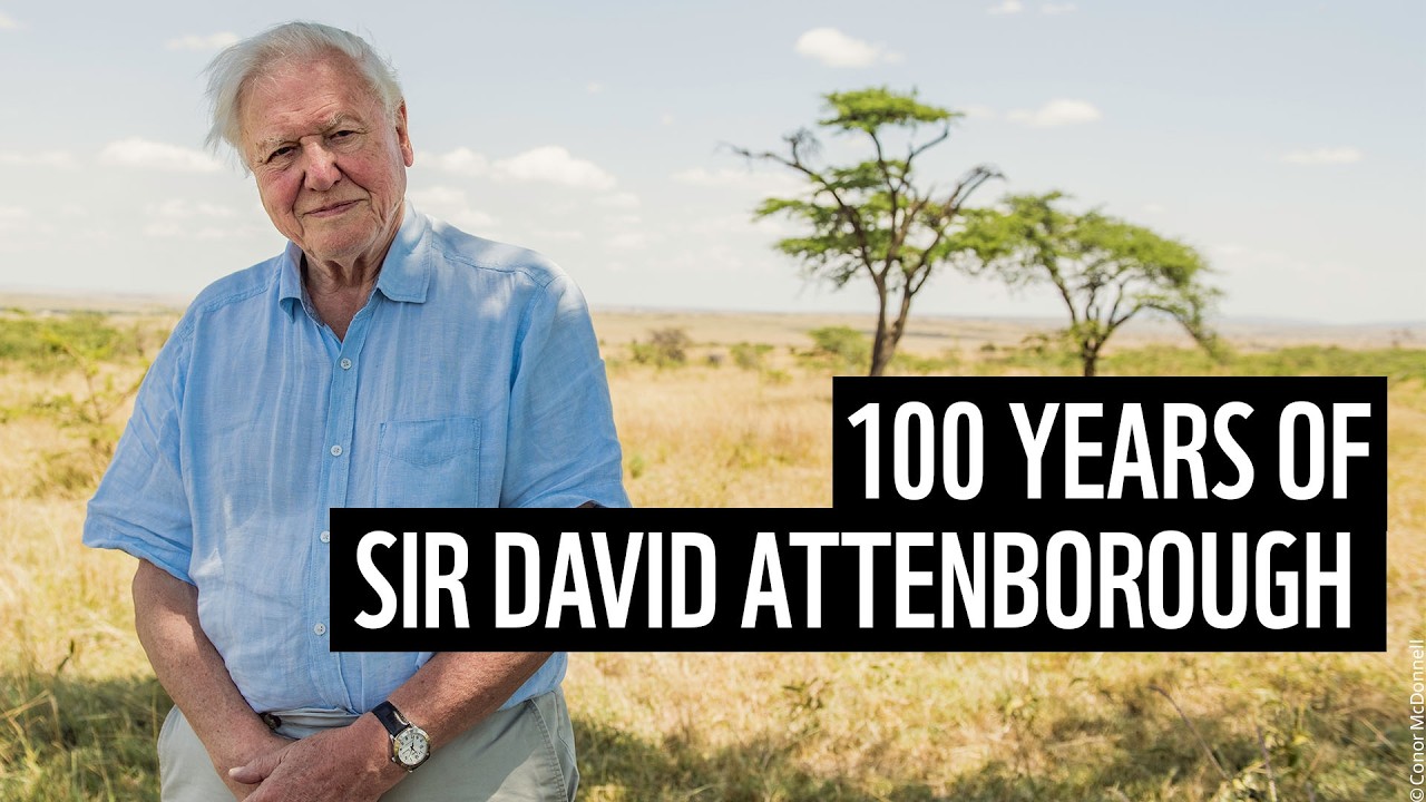 Celebrating 100 years of Sir David Attenborough | WWF UK