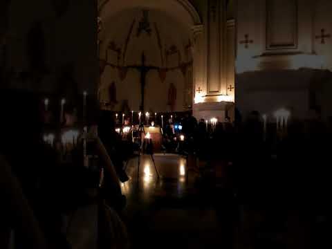 Vivo Ego. Alonso Lobo