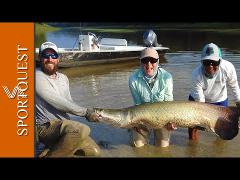 Hooking a 200lb Arapaima On the Fly on The Mamiraua Reserve, Brazil