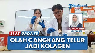 Inovasi Mahasiswa UC Surabaya: Ubah Limbah Cangkang Telur Jadi Kolagen Halal Bernilai Tinggi