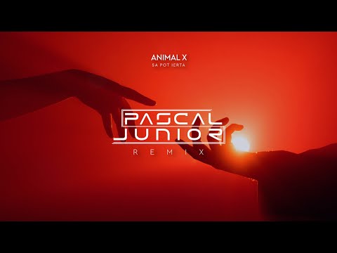 Animal X - Sa Pot Ierta (Pascal Junior Remix)