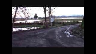 The Lady in the Lake