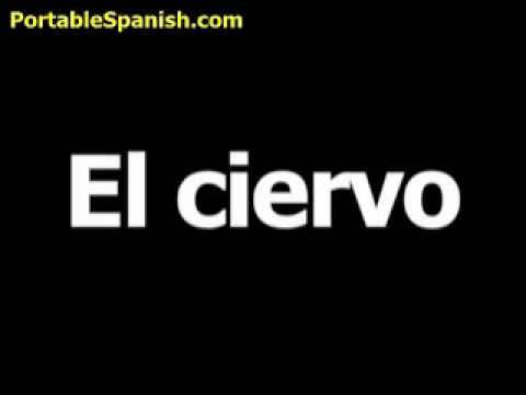 Spanish word for deer is el ciervo