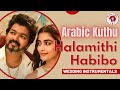 Halmathi Habibo Violin Instrumental Madhan S Band Thalapathy Vijay அரபிக் குத்�