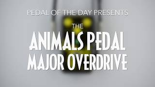 Video thumbnail for Animals Pedal Major Overdrive by Pedal of the Day