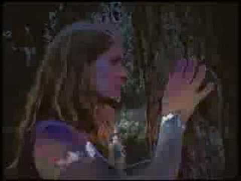 Malkovich Live Video