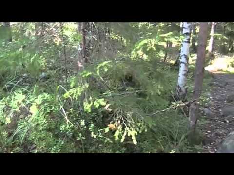 Lauantai lenkki osa3