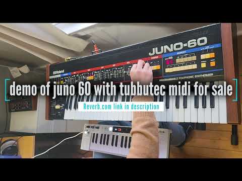 Roland Juno 60 with tubbutec 66 midi synth for sale