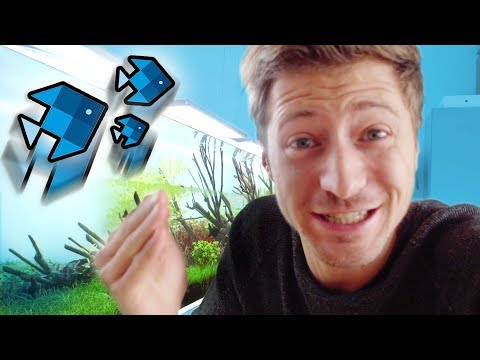 The craziest fish in the XXL aquarium! 😱