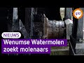 Wenumse watermolen dreigt na 700 jaar stil te vallen