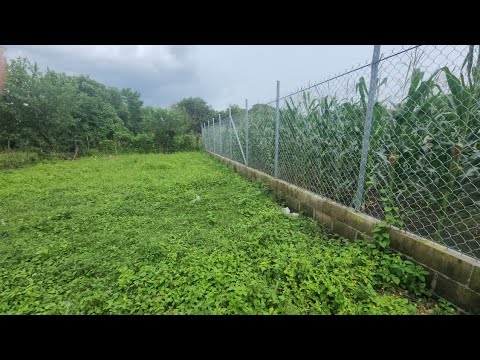 Se vende lote en Lotificacion Santa Emilia, Cantón La Cabaña, distrito de el Paisnal, San Salvador 