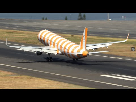 CONDOR YELLOW STRIPES Landing at Madeira Airport