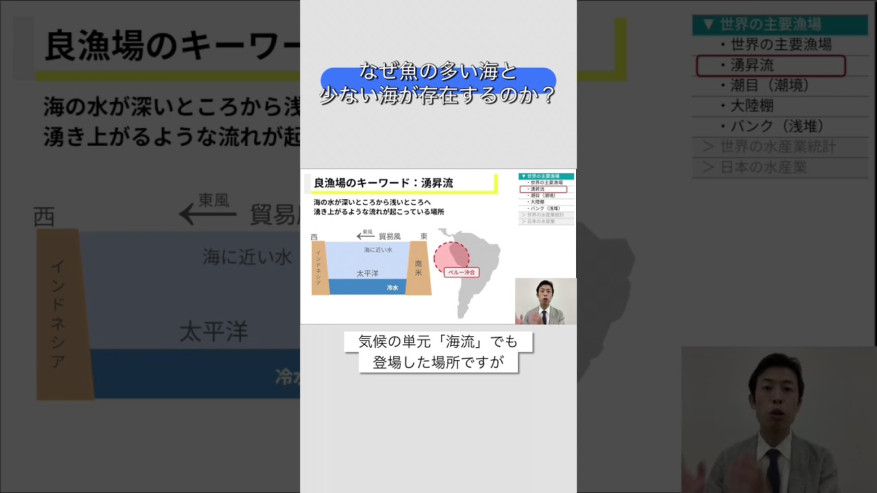 なぜ魚の多い海と少ない海が存在するのか？ #地理探究 #地理総合 #地理b #共通テスト #高校地理 #農業 #水産業 #湧昇流 #潮目
