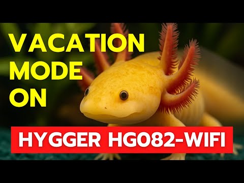 Smart Feeding… Done Right | Hygger HG082 WiFi Automatic Fish Feeder Review