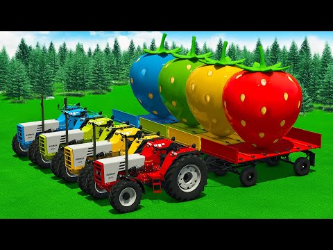 TRANSPORTING GIANT STRAWBERRY AND CHICKENS WITH VALTRA TRACTORS - Farming Simulator 25